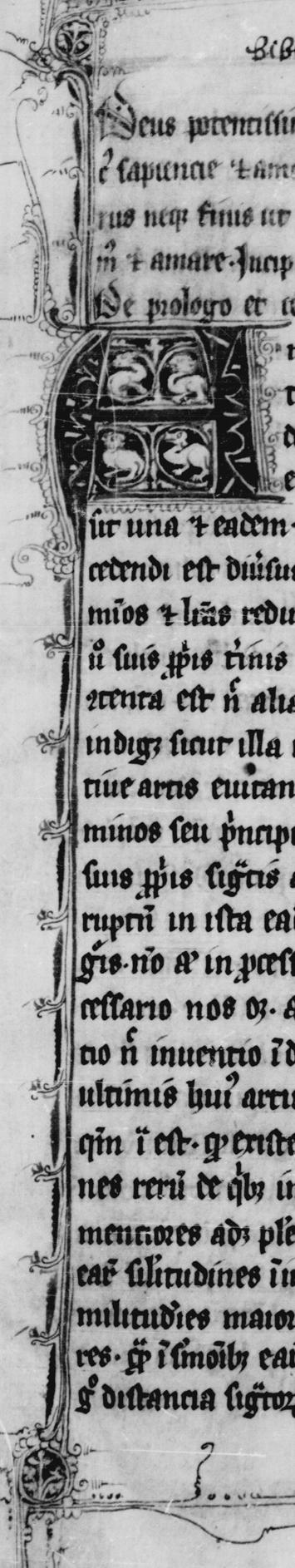 15- BMA 78 (= 2.1), f. 2r.JPG